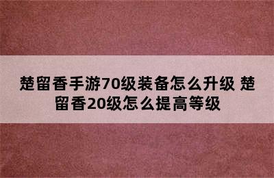 楚留香手游70级装备怎么升级 楚留香20级怎么提高等级